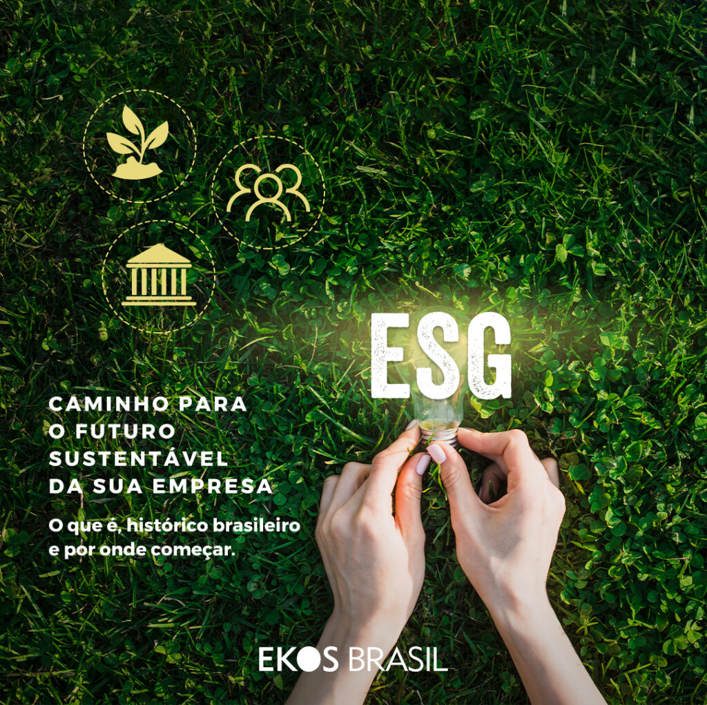 Esg Caminho Para O Futuro Sustent Vel Da Sua Empresa Ekos Brasil