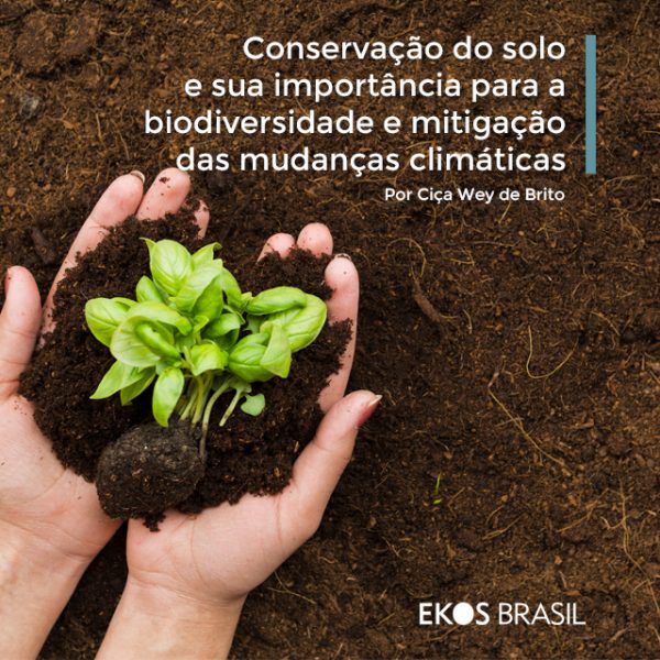 Conserva O Do Solo E Sua Import Ncia Para A Biodiversidade E Mitiga O Das Mudan As Clim Ticas