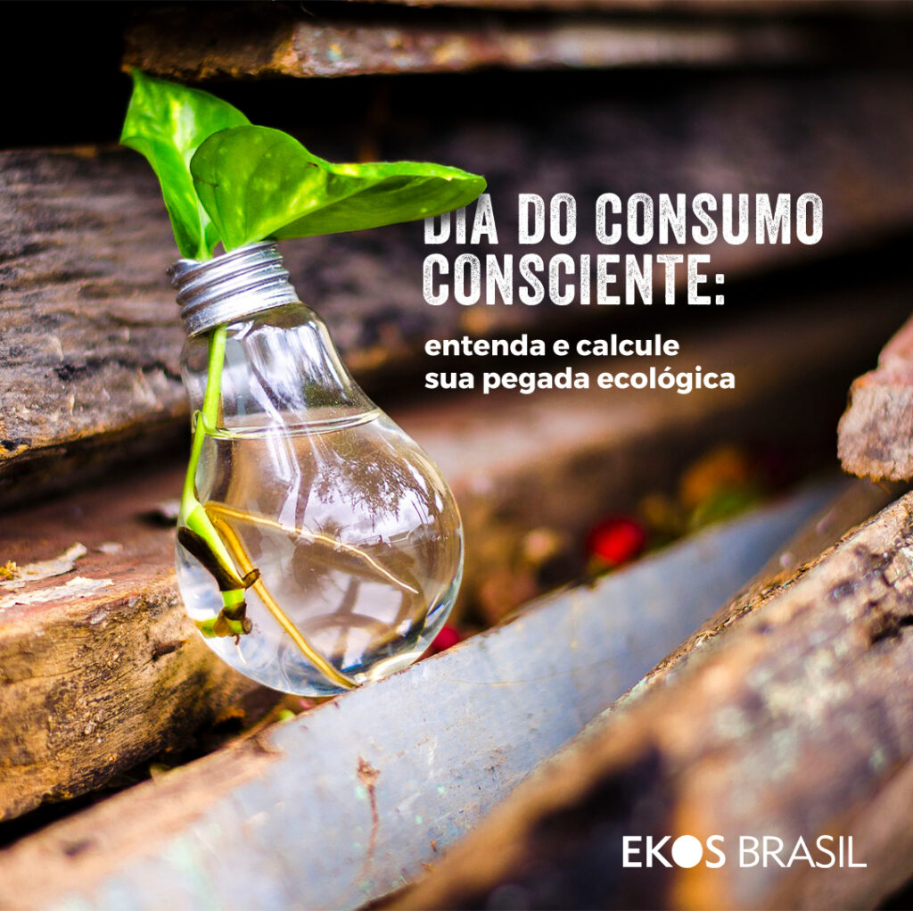 Dia Do Consumo Consciente Entenda E Calcule Sua Pegada Ecológica Ekos Brasil 8226