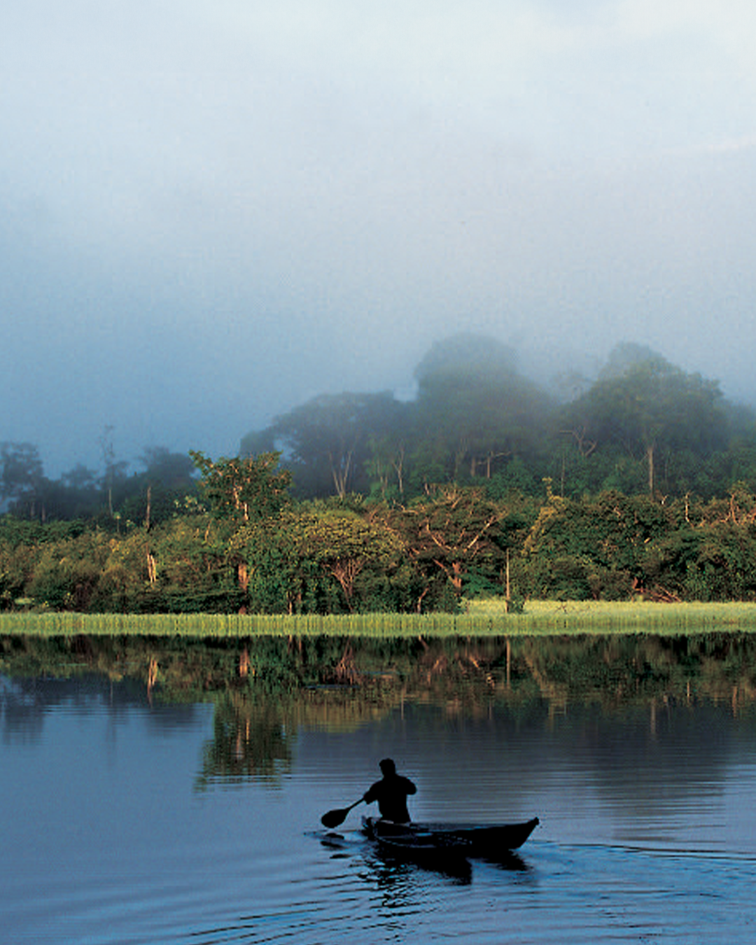 17 anos do ICMBio: compromisso com a biodiversidade e o legado de Chico Mendes