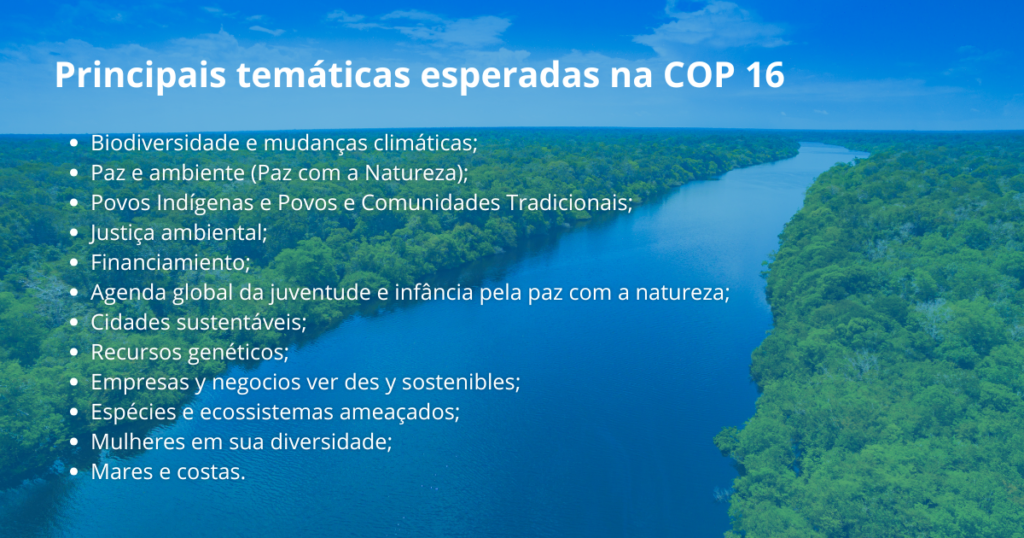 Principais temáticas esperadas na COP16.